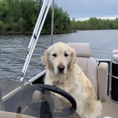 Pontoon Boat with Dog at wheel